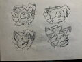 Dawn headshots