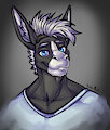 its me!! by Ysergrin