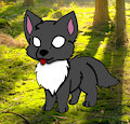 Baby Wolf