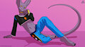 The Destroyer's New Clothes