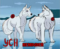 YCH REMINDER