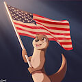 Merica by Comatose