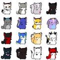 Fluff Group 12