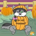 Pumpkin Icons 2012 - ShippoFox