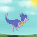 Kachimaroo