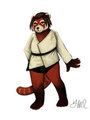 red panda by anir