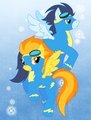 MLP - Wonderbolts