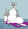 Belly Buddies by Domafox
