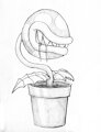 Piranha Plant