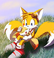 Tails & Fennekin by BlackFlash09