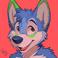 Shocker the Husky by pandapaco