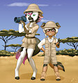 Safari