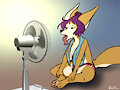 Hot Fennecs Near You
