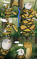 Aurora's First Jungle Experience pg. 4
