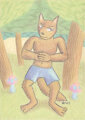 Wolf Mushroom Forest