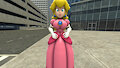Sorry Mario by Prime91