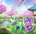 Cherry Blossoms