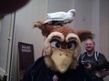 Bird on bird action at FurFright by Zarphus