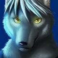 This here is not your ordinary wolf