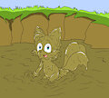 Tails being muddy by mucky