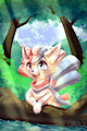 Forest adventure