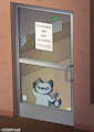customer are not allowed by orbitalis