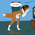 Lassie again by Mearcu