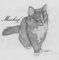 Mischief
