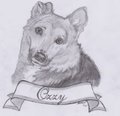 Ozzy by FurmiliarFaces