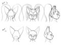 Slina and Latex Swine Head Bust