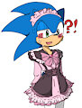 Sonics new outfit