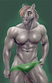 grey horse