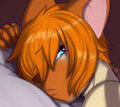Sleeping Kitty by Aerosoul