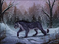 Winter Prowler