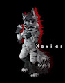 Xavier