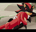 .:ShxK:. Do not disturb by FireForBattle