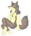 [Gift] Coyotek by Wyebird~ by coyotek