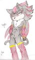 Sheid the hedgehog new fursona ^w^ by dante7ben1