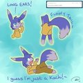 Tumblr - What Are You?