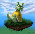 The grass kitty