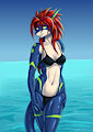 Shark by the shore