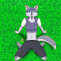Pretty Wolf by Ranos