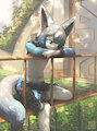 garden by Arcadius0505