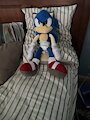 Crinkle Sonic