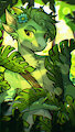 Amongst the Ferns - By SkiaSkai