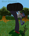 Meet Blitzard by tctsstudios