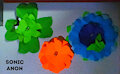 Wall Flowers