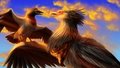 "You may sit on my wing any time, my friend"