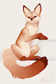 Soft fur in warm colors. by Zyonji