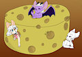 How get the holes in the cheese?